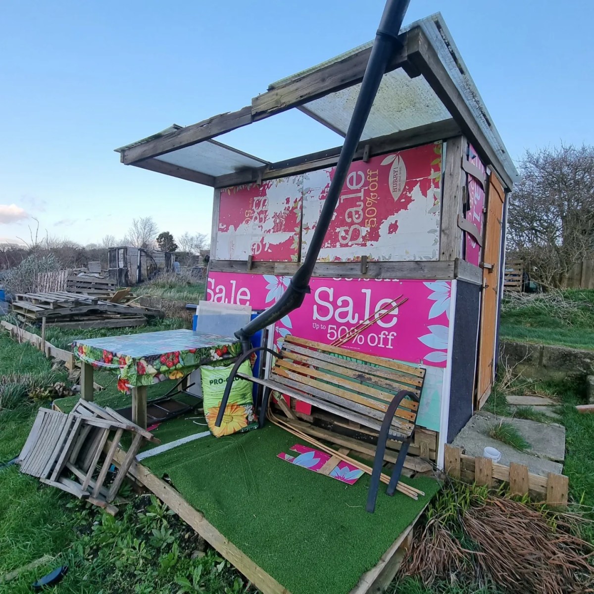 June/July 2021: My first allotment&nbsp;harvests