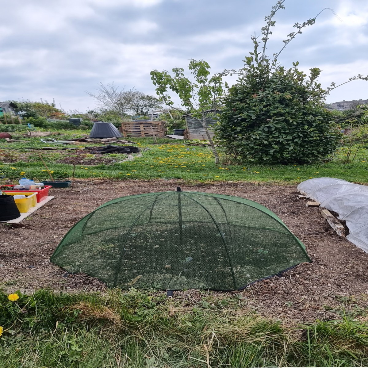 Spring 2022: it starts to look like&nbsp;something